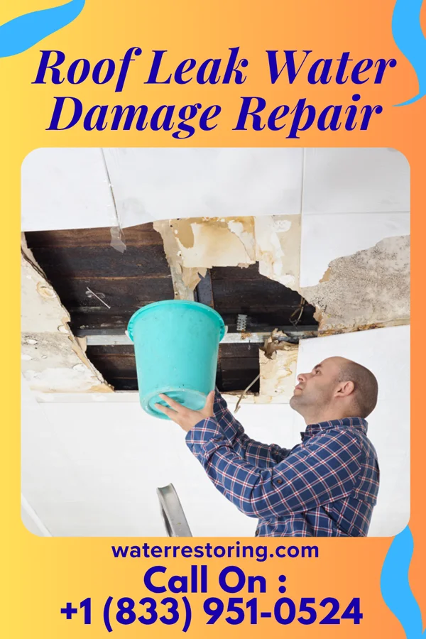 Roof Leak Water Damage Repair in Larkspur, CA